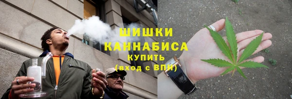 гидра Арсеньев
