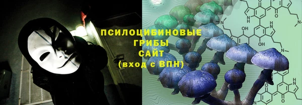 гидра Арсеньев
