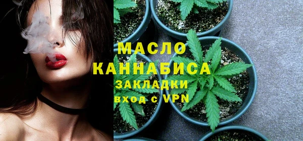 гидра Арсеньев