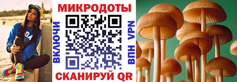 Купить закладки  Апшеронск  Псилоцибиновые грибы Magic Shrooms 